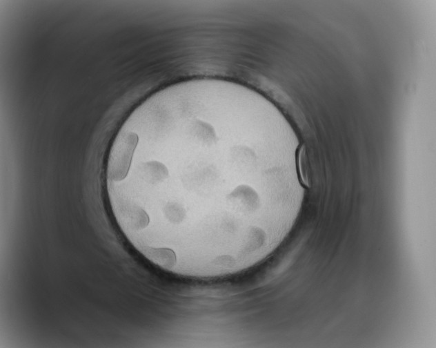 X0000089730625200707201842