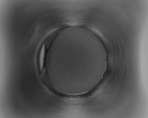 X0000089730626200707201842
