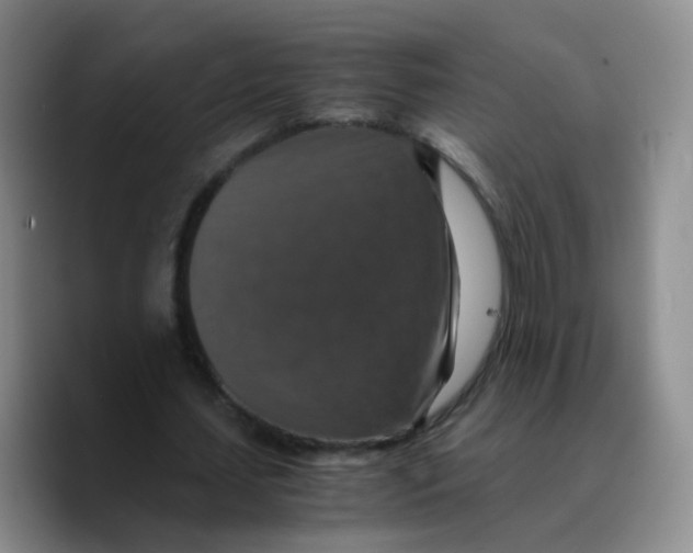 X0000089730627200707201842