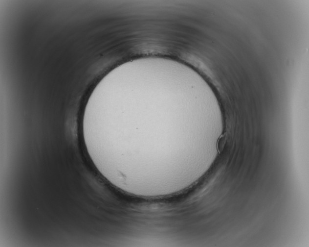 X0000089730629200707201842