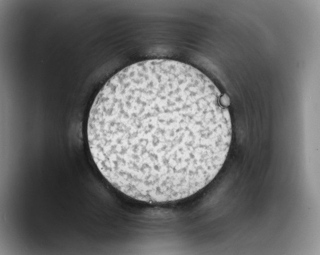 X0000089730633200707201842