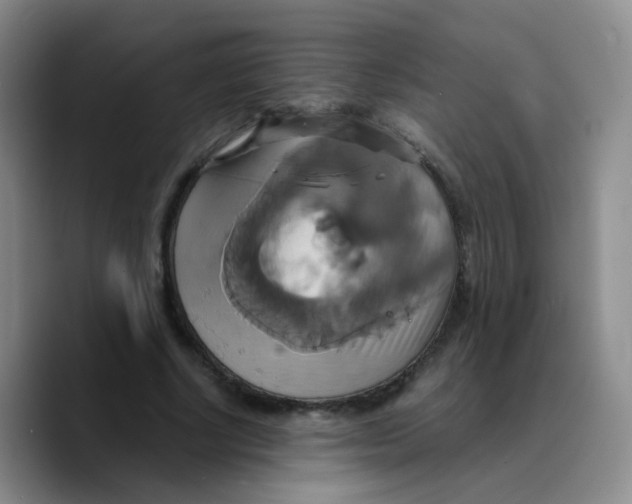 X0000089730634200707201842