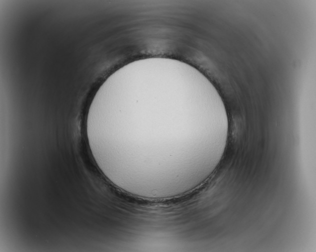 X0000089730636200707201842