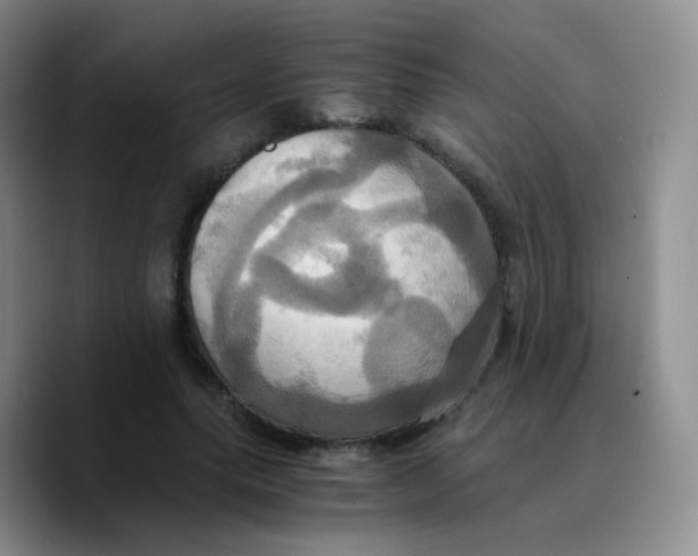 X0000089730639200707201842