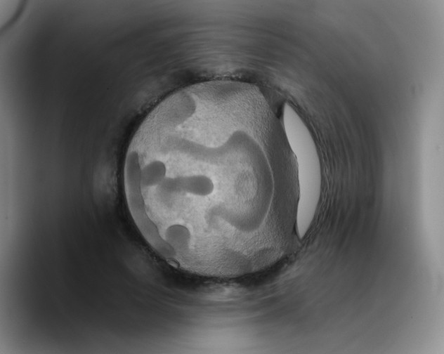 X0000089730642200707201842