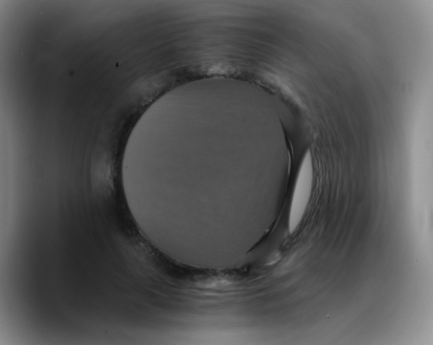 X0000089730643200707201842