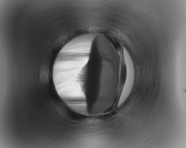 X0000089730644200707201842