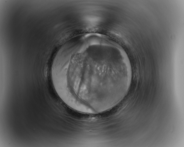 X0000089730647200707201842