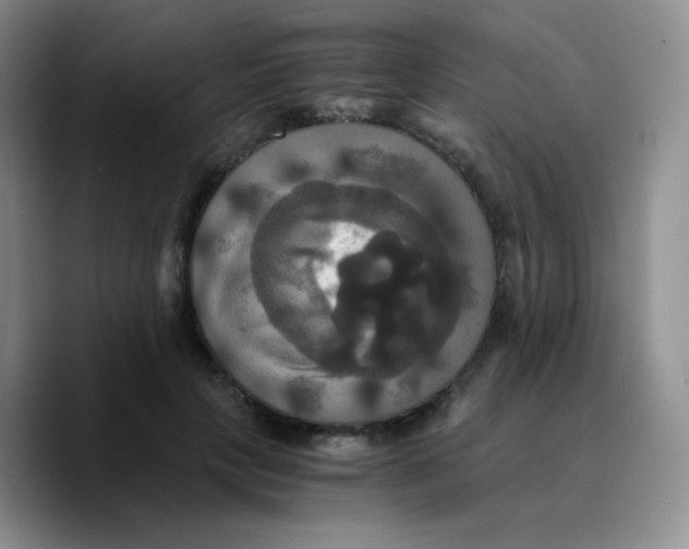 X0000089730649200707201842