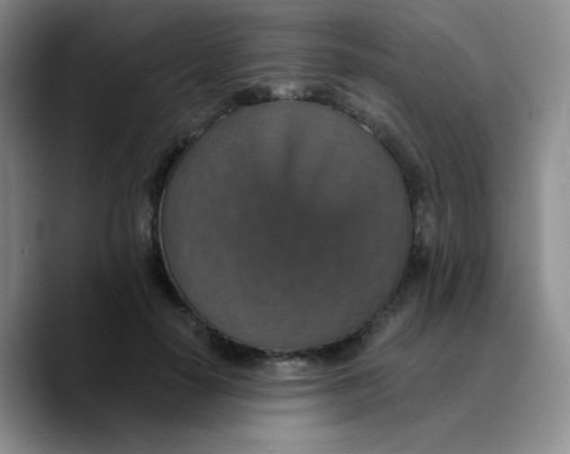 X0000089730650200707201842