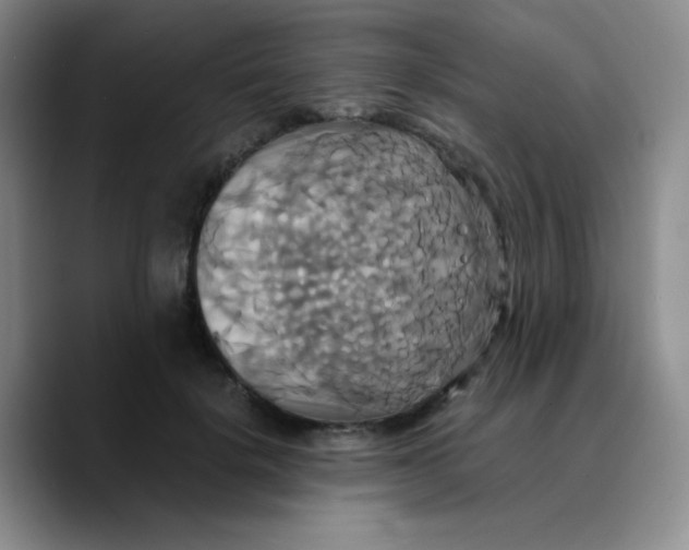 X0000089730652200707201842