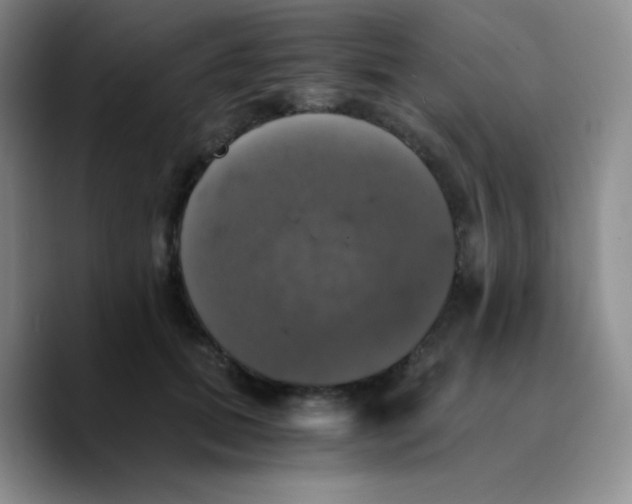 X0000089730655200707201842