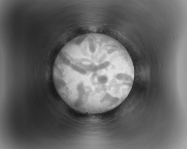 X0000089730656200707201842