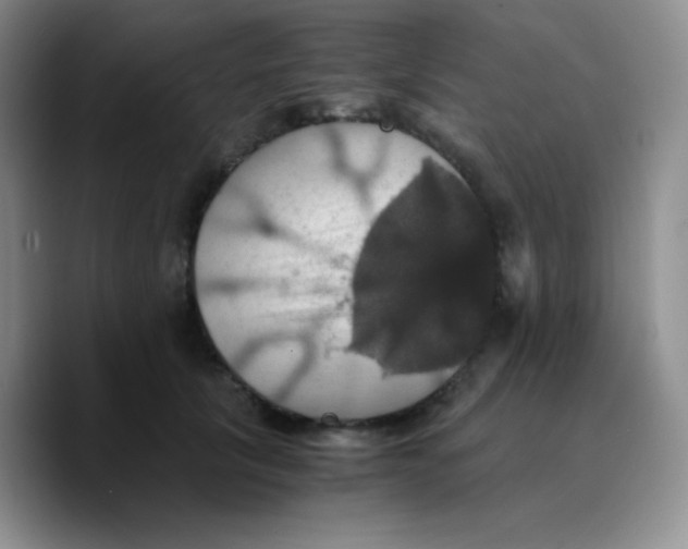 X0000089730657200707201842