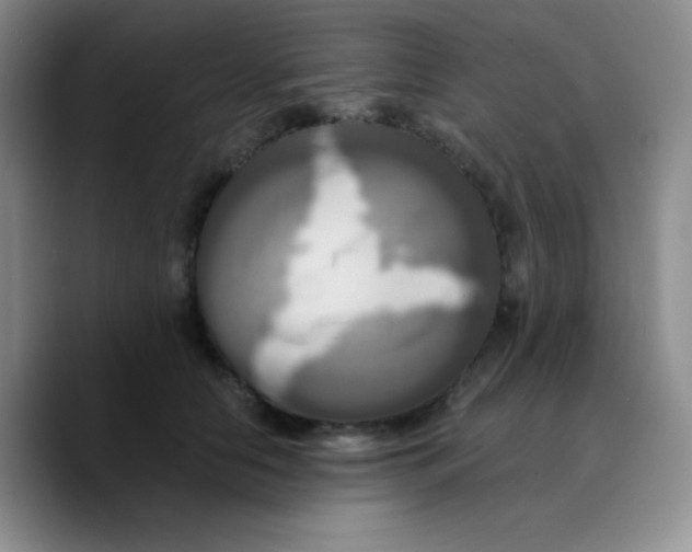 X0000089730658200707201842