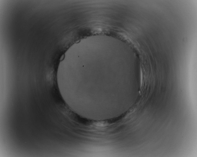 X0000089730659200707201842