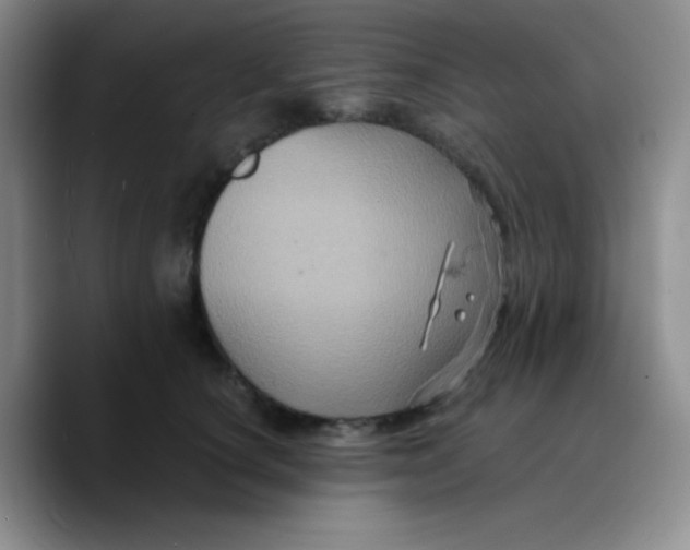 X0000089730660200707201842