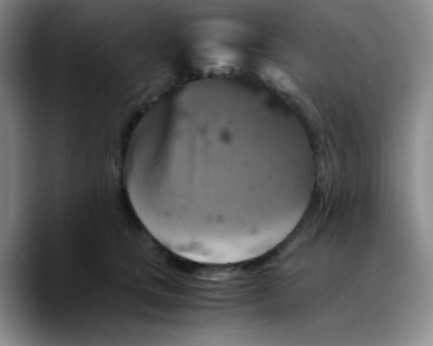 X0000089730661200707201842