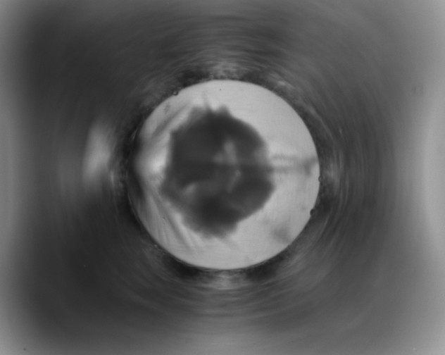 X0000089730663200707201842