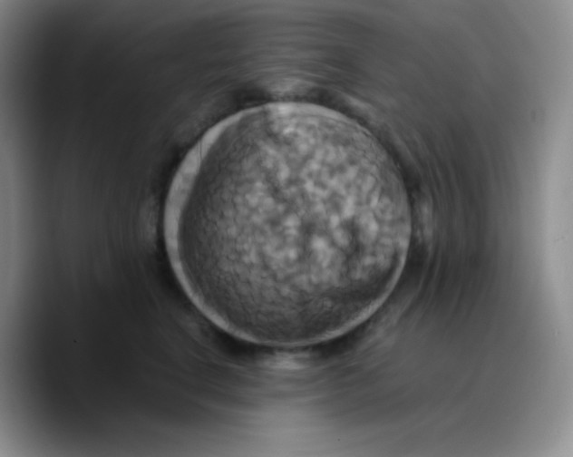 X0000089730664200707201842