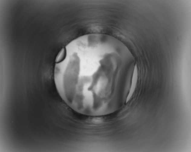 X0000089730665200707201842