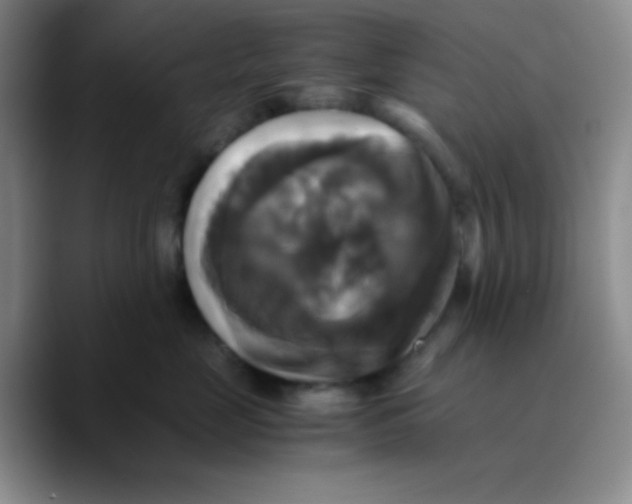X0000089730669200707201842