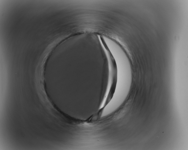 X0000089730673200707201842