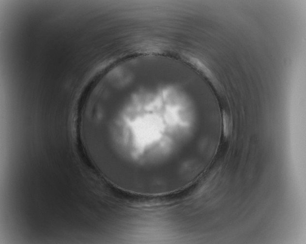 X0000089730675200707201842