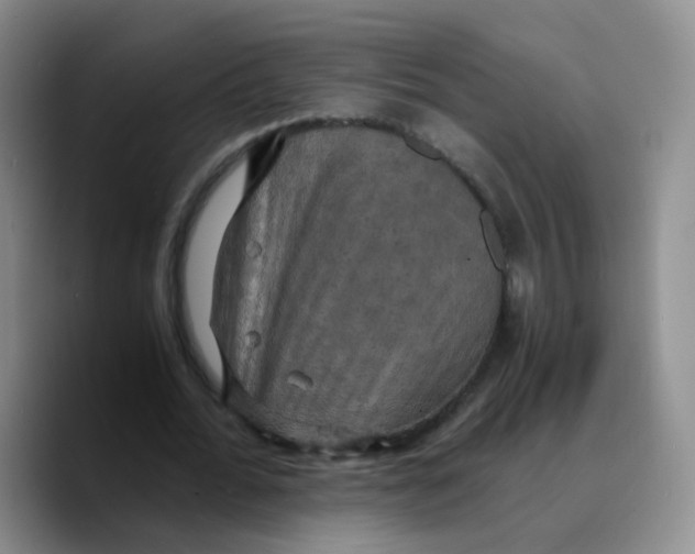 X0000089730676200707201842