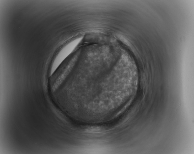 X0000089730677200707201842