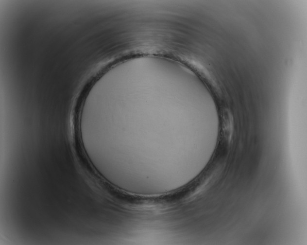 X0000089730678200707201842