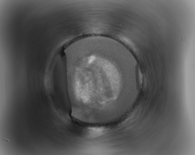 X0000089730680200707201842