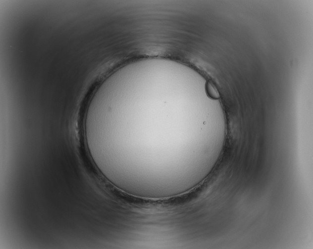 X0000089730682200707201842