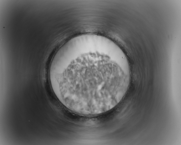 X0000089730683200707201842