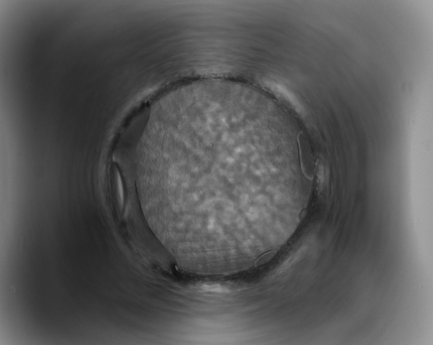 X0000089730684200707201842