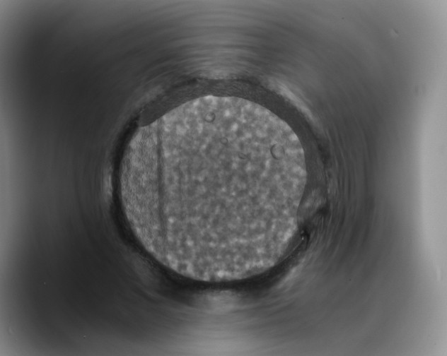 X0000089730685200707201842