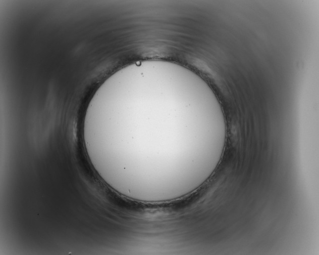 X0000089730686200707201842