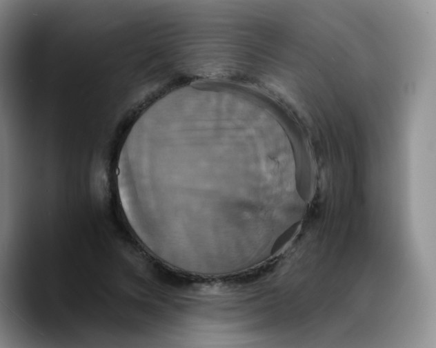 X0000089730688200707201842