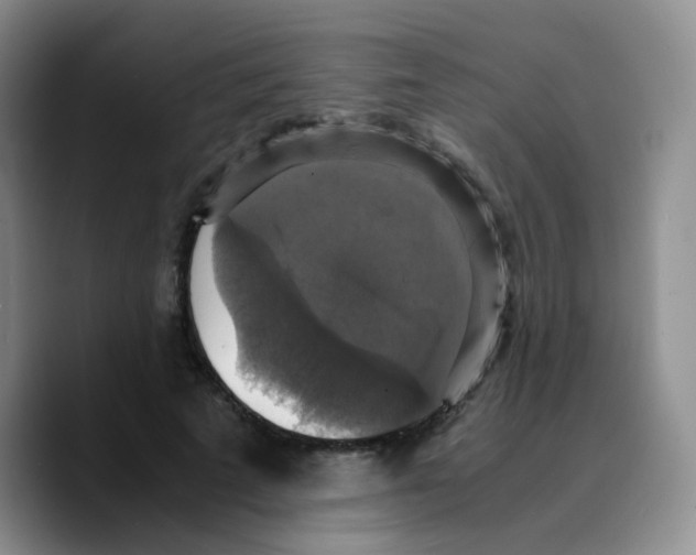 X0000089730689200707201842