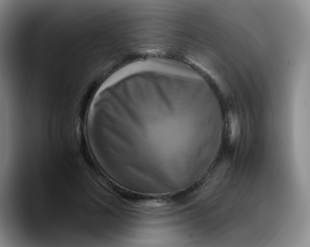 X0000089730692200707201841