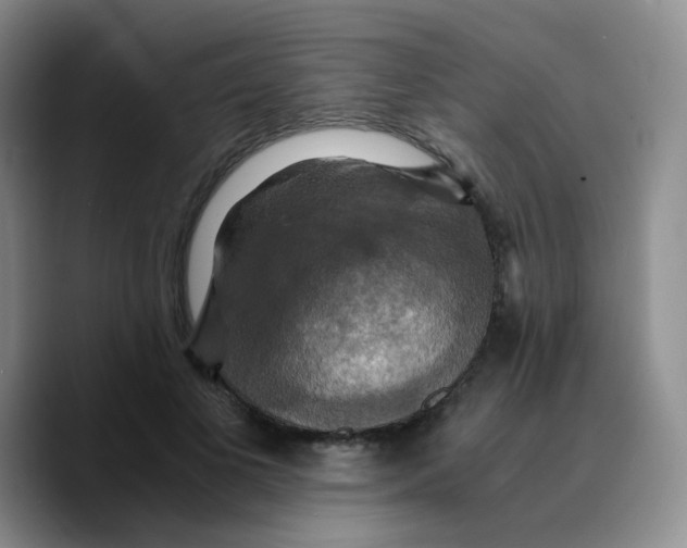 X0000089730693200707201841