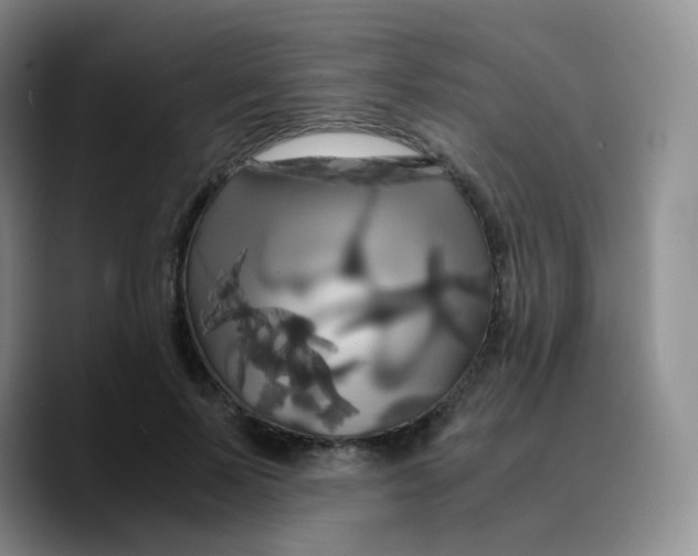 X0000089730695200707201841