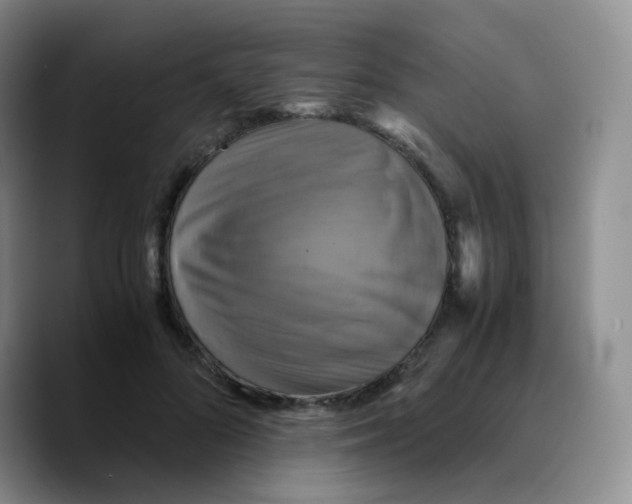 X0000089730696200707201841
