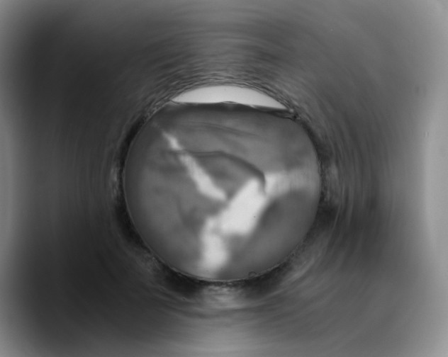 X0000089730699200707201841