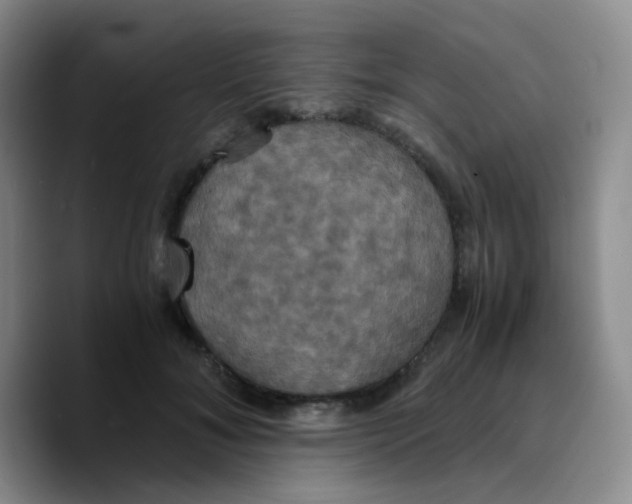 X0000089730700200707201841