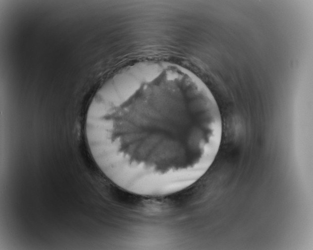 X0000089730703200707201841