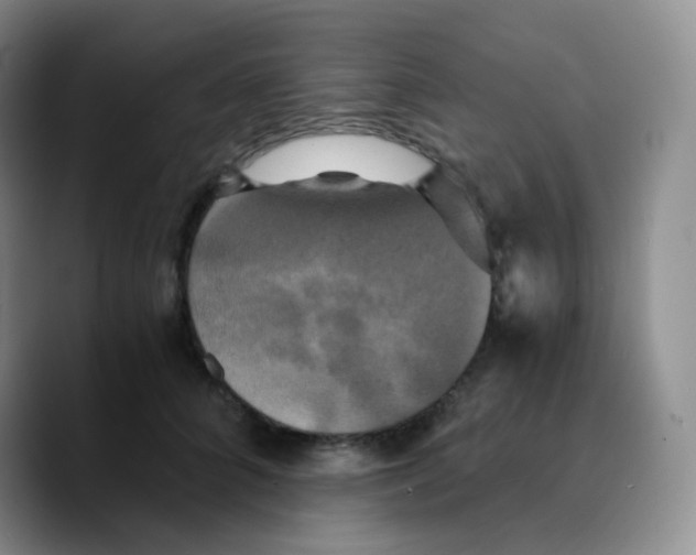 X0000089730704200707201841
