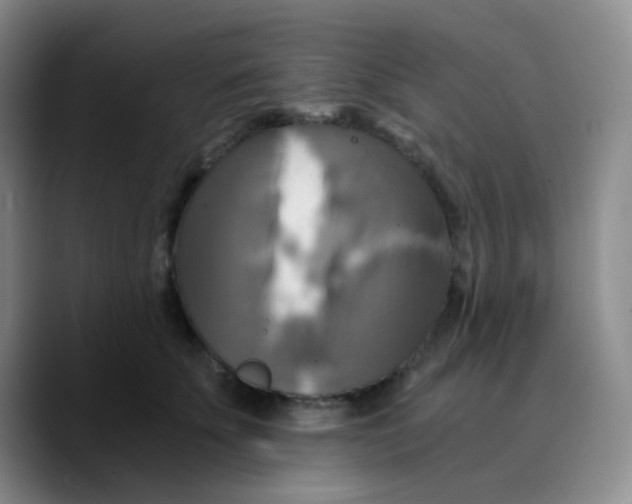 X0000089730707200707201841