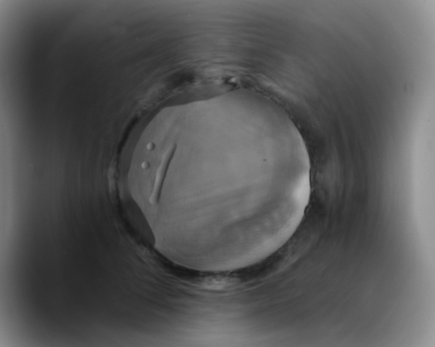 X0000089730708200707201841