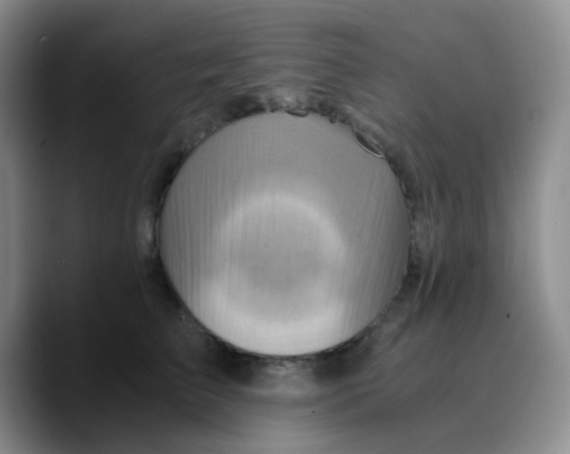X0000089730709200707201841